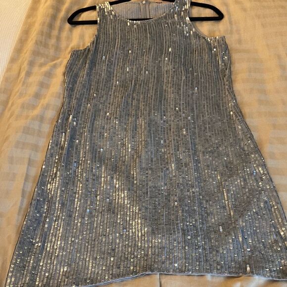 Calypso St Barth Silver Sequin Sleeveless Sheath Dress. Size XS. - Picture 4 of 7